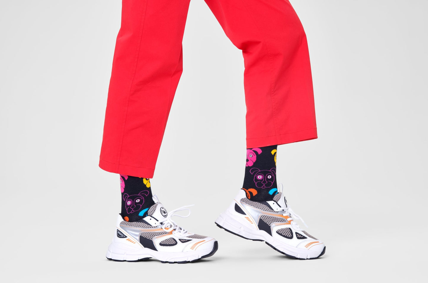 Dog Sock by Happy Socks India