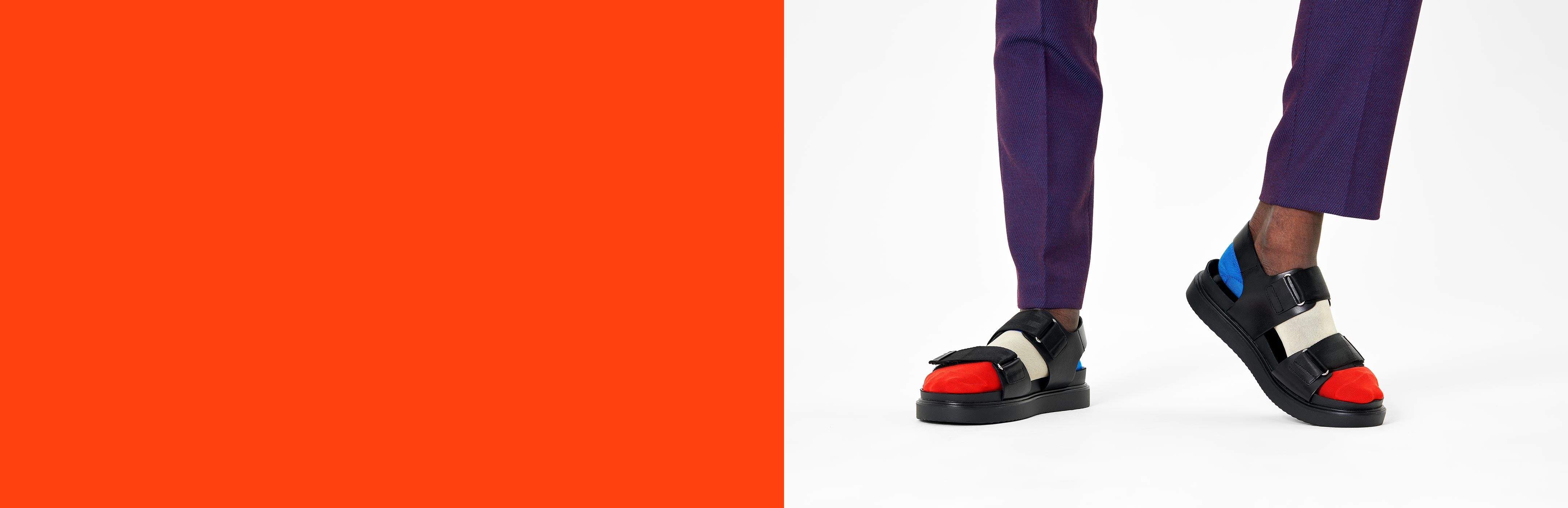 Cut Socks & No Show Loafer Socks